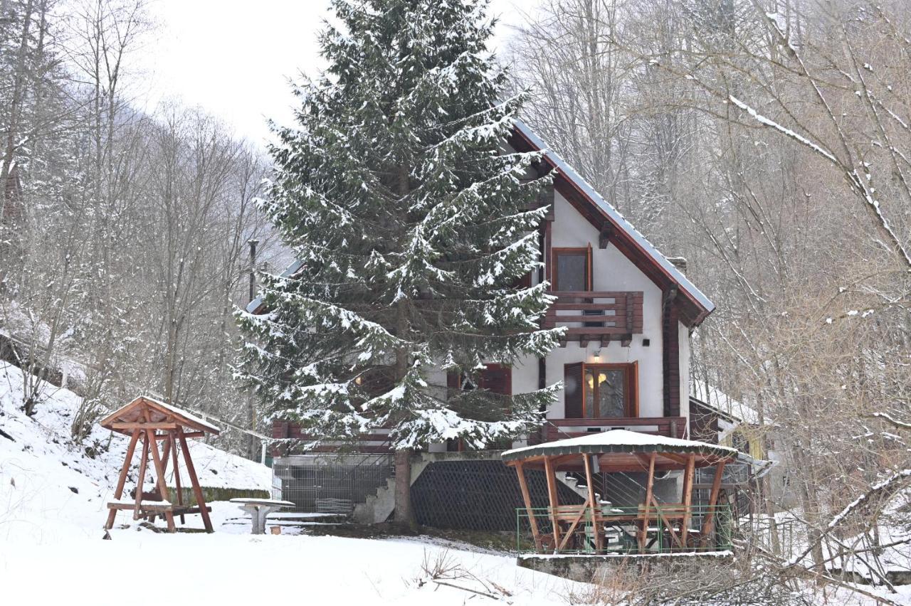 Casa De Vacanta Satic Piatra Craiului La Doi Viermi Dış mekan fotoğraf