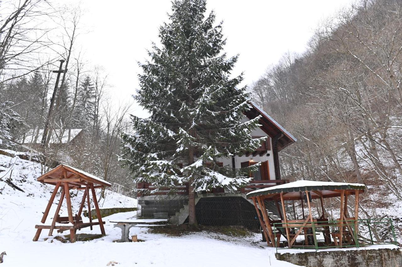 Casa De Vacanta Satic Piatra Craiului La Doi Viermi Dış mekan fotoğraf