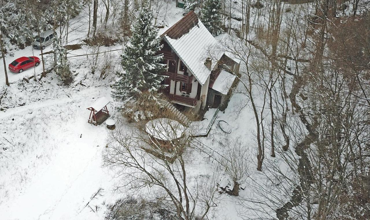 Casa De Vacanta Satic Piatra Craiului La Doi Viermi Dış mekan fotoğraf