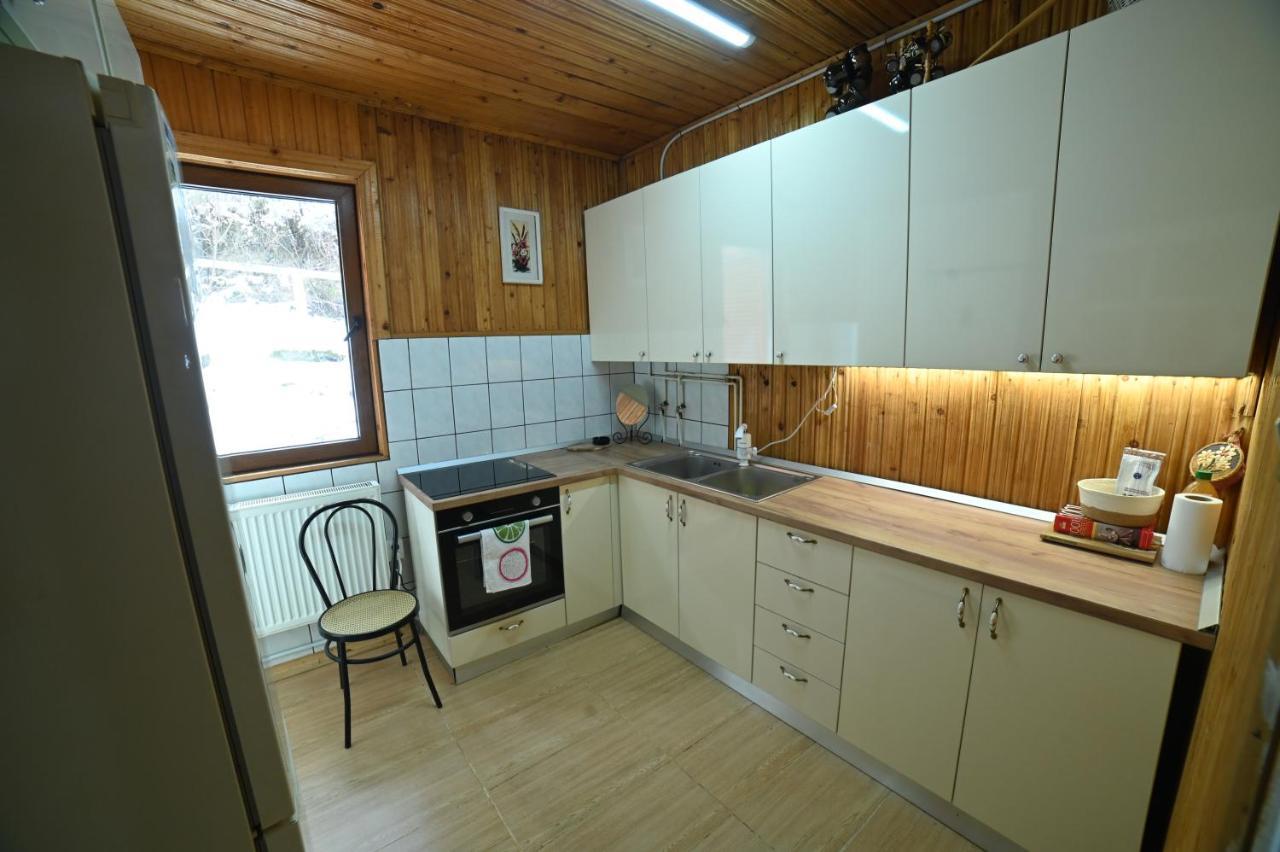 Casa De Vacanta Satic Piatra Craiului La Doi Viermi Dış mekan fotoğraf