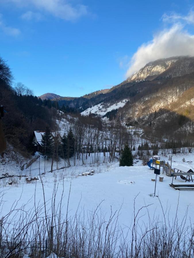 Casa De Vacanta Satic Piatra Craiului La Doi Viermi Dış mekan fotoğraf