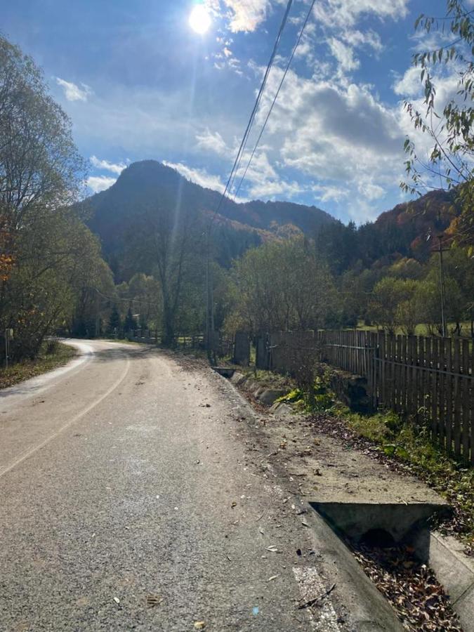 Casa De Vacanta Satic Piatra Craiului La Doi Viermi Dış mekan fotoğraf