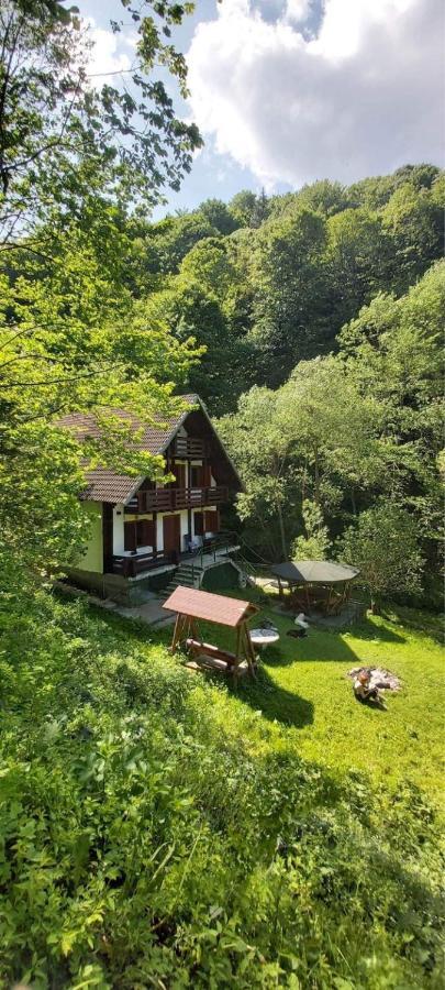 Casa De Vacanta Satic Piatra Craiului La Doi Viermi Dış mekan fotoğraf