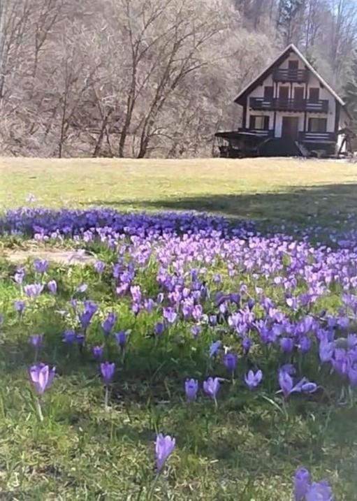 Casa De Vacanta Satic Piatra Craiului La Doi Viermi Dış mekan fotoğraf