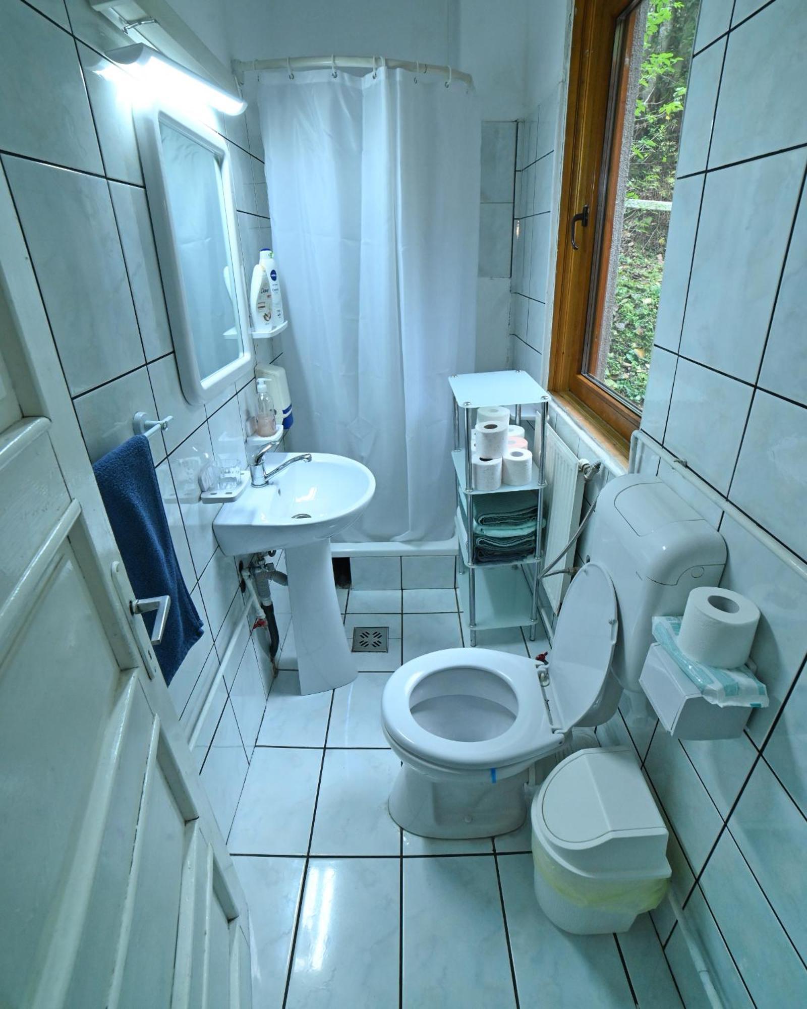 Casa De Vacanta Satic Piatra Craiului La Doi Viermi Dış mekan fotoğraf